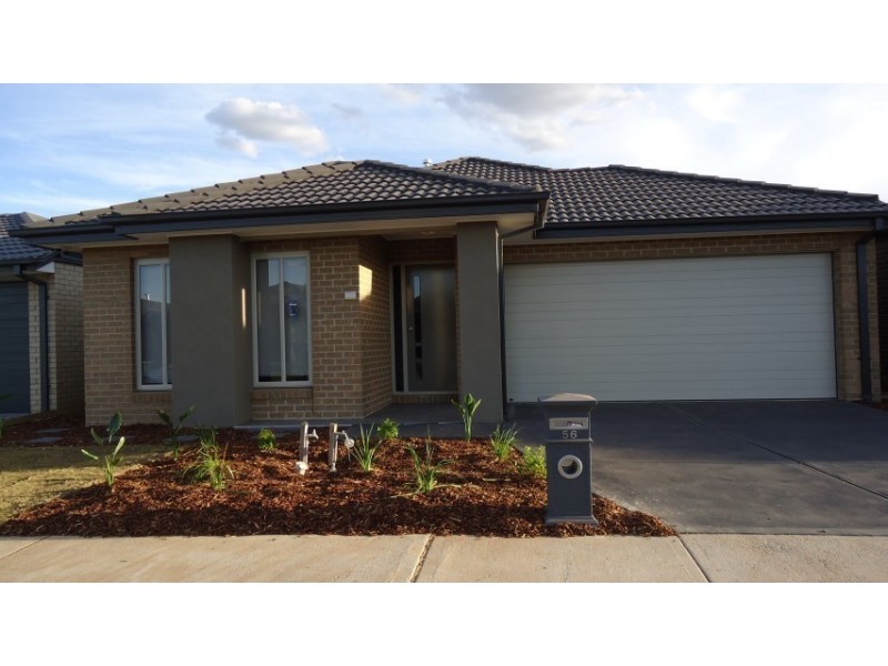 56 Tarlo Drive, Tarneit VIC 3029