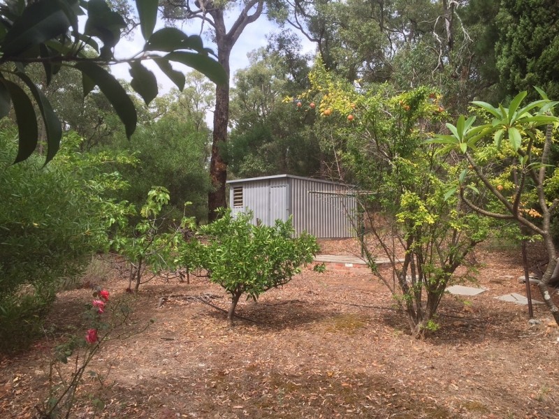 38 Jackson Road, Kalamunda WA 6076