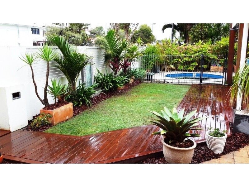 24 Iluka Avenue, Buddina QLD 4575