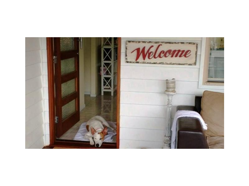 24 Iluka Avenue, Buddina QLD 4575