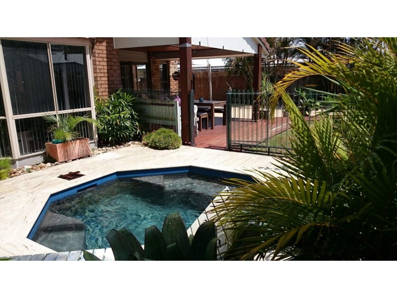 24 Iluka Avenue, Buddina QLD 4575