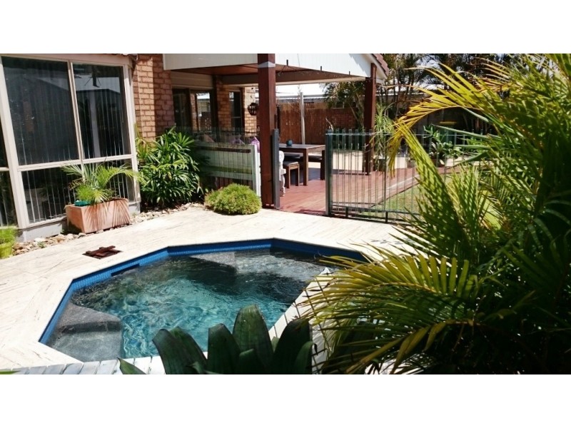 24 Iluka Avenue, Buddina QLD 4575