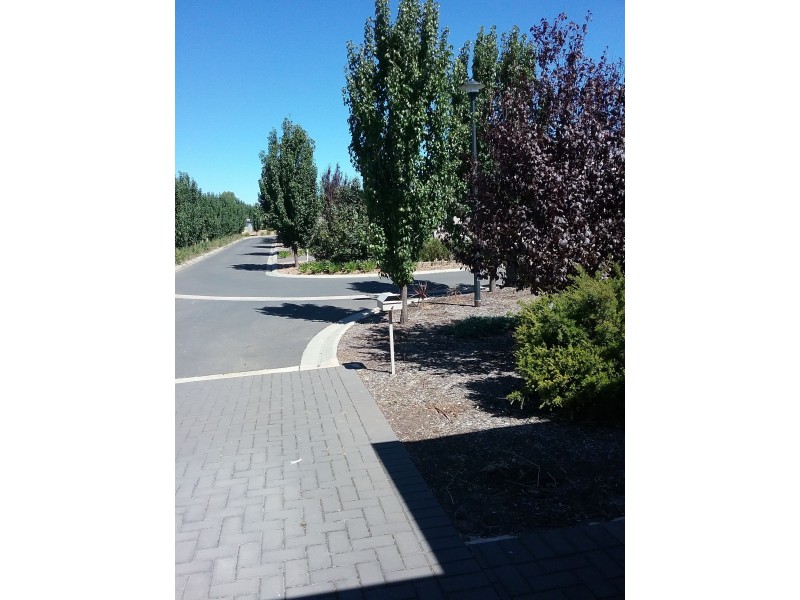 20A Ngadjuri Street, Nuriootpa SA 5355