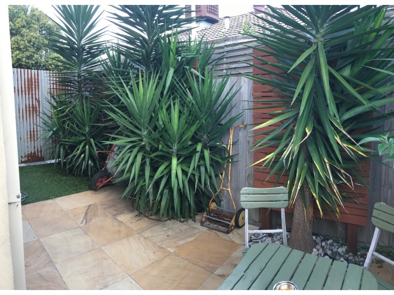 Caulfield North VIC 3161