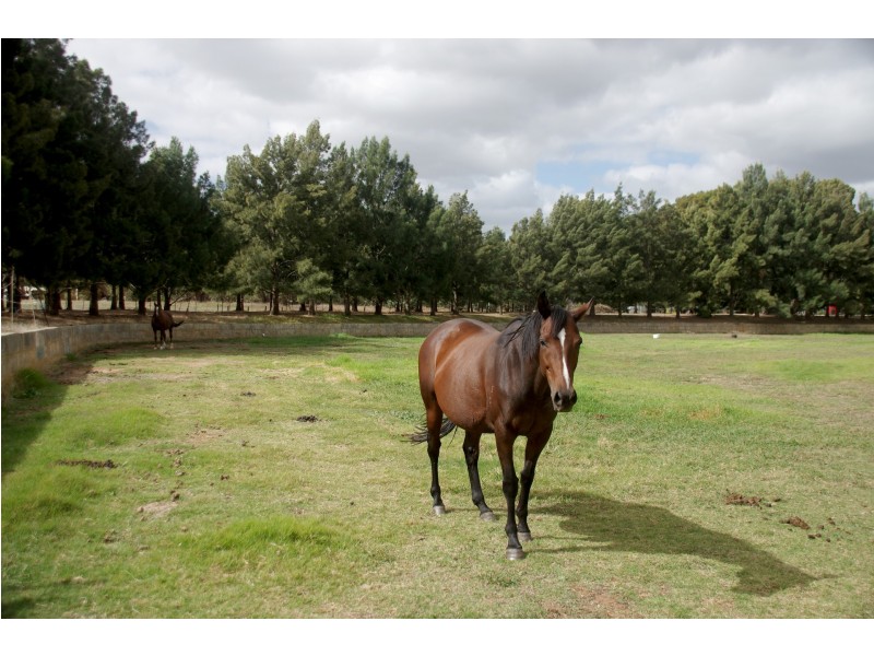 31 James Road, Middle Swan WA 6056