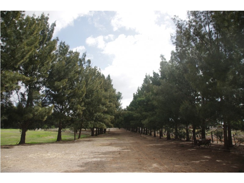 31 James Road, Middle Swan WA 6056