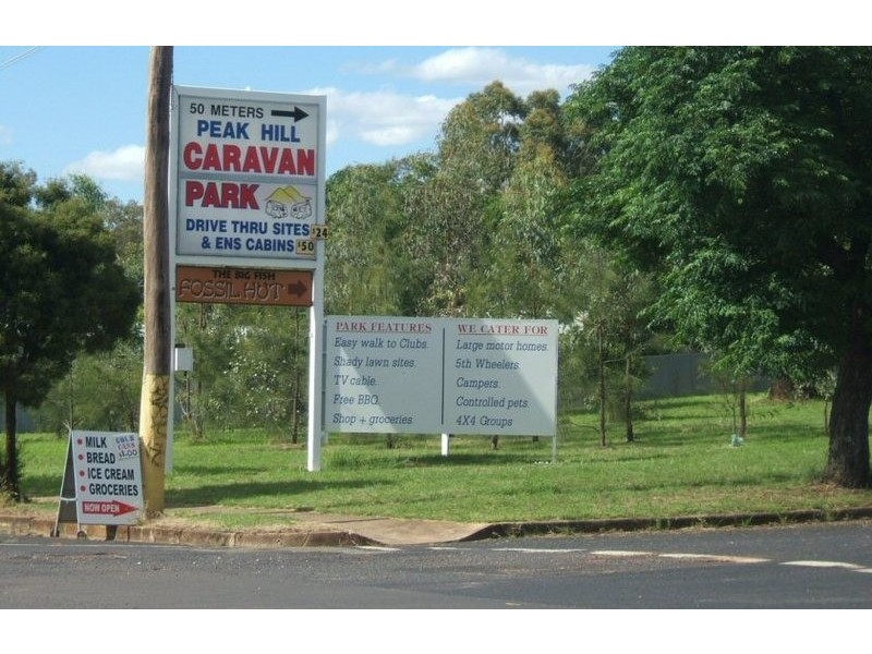 2 Ween Street, Peak Hill NSW 2869