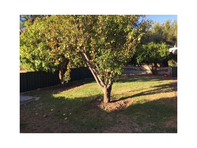 2 Farman Place, Hamersley WA 6022