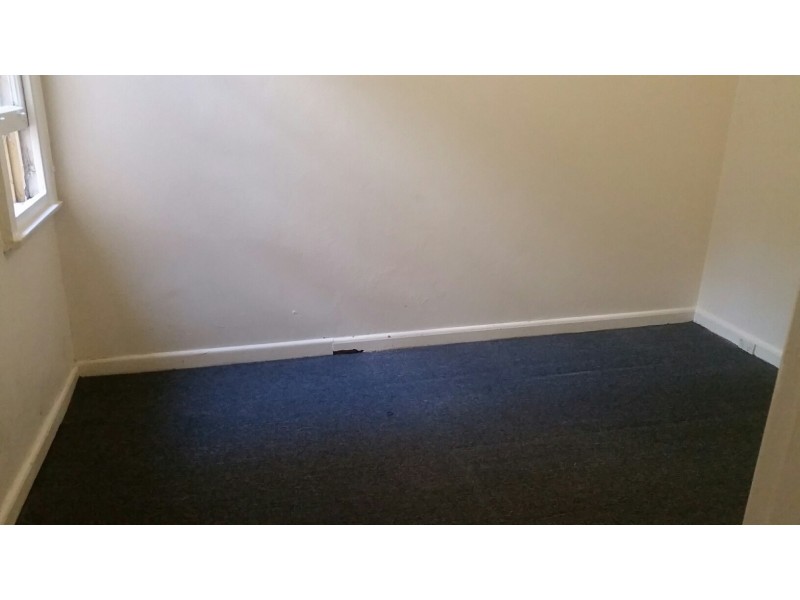 114 Wilton Street, Surry Hills NSW 2010