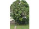 3 Minster Street, South Mackay QLD 4740