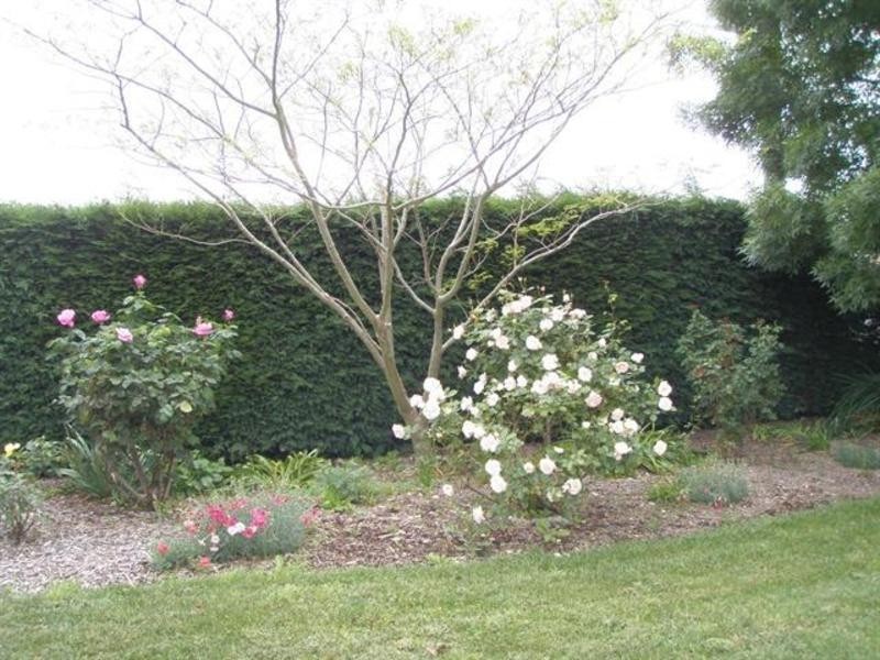 34 Old Hume Hwy, Braemar NSW 2575