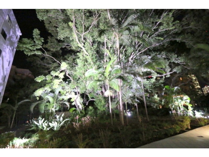 1/161 Main Street, Kangaroo Point QLD 4169