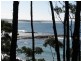 15 Holly St, Bendalong NSW 2539