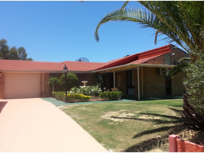 7 Newgate Street, Alexander Heights WA 6064