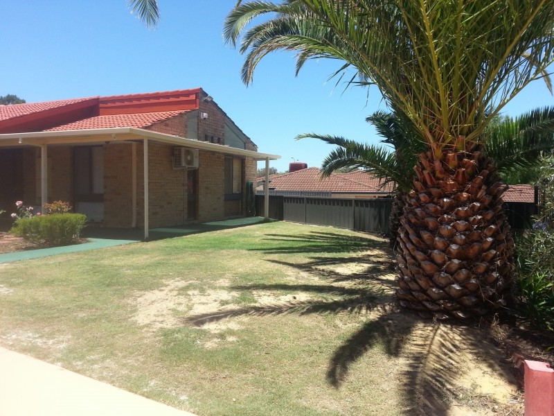 7 Newgate Street, Alexander Heights WA 6064