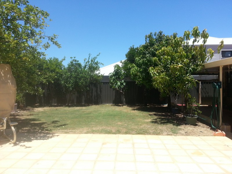 7 Newgate Street, Alexander Heights WA 6064