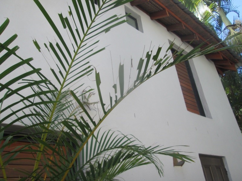 2/2081 Gold Coast Highway, Miami QLD 4220