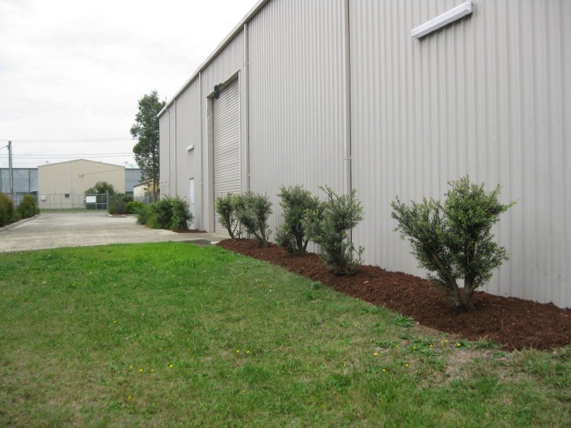 6 Shipley Drive, Rutherford NSW 2320