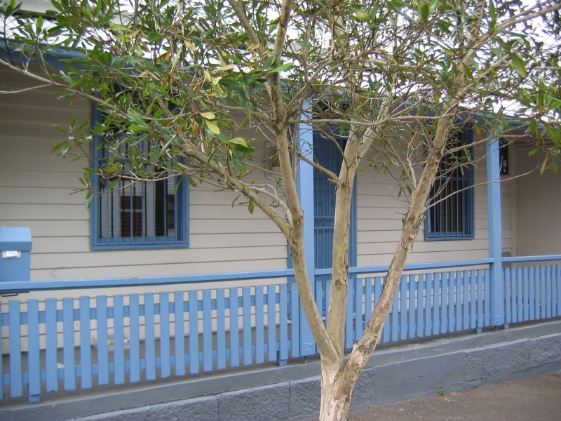 3 Cardwell Street, Balmain NSW 2041