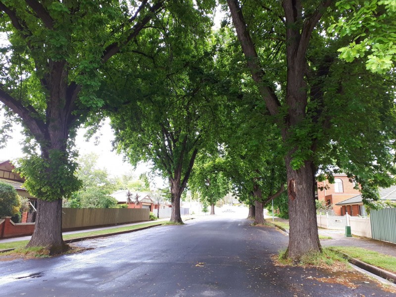 617 Elm Street, Albury NSW 2640