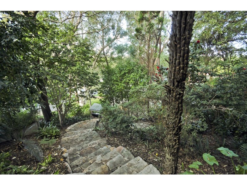 71 Abingdon Rd, Roseville NSW 2069