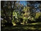 Anna Bay NSW 2316
