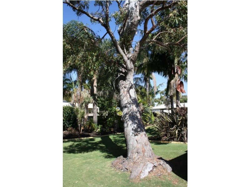 8 Ninda St, Coodanup WA 6210