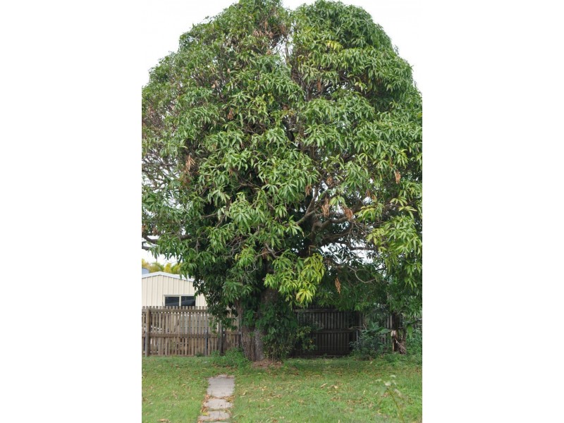 3 Minster Street, South Mackay QLD 4740