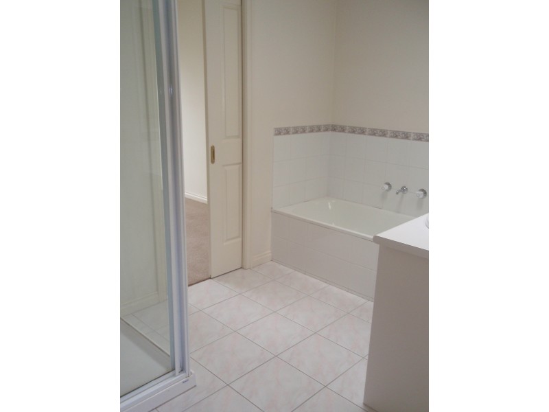 13 Renfrew Street, Blackburn North VIC 3130