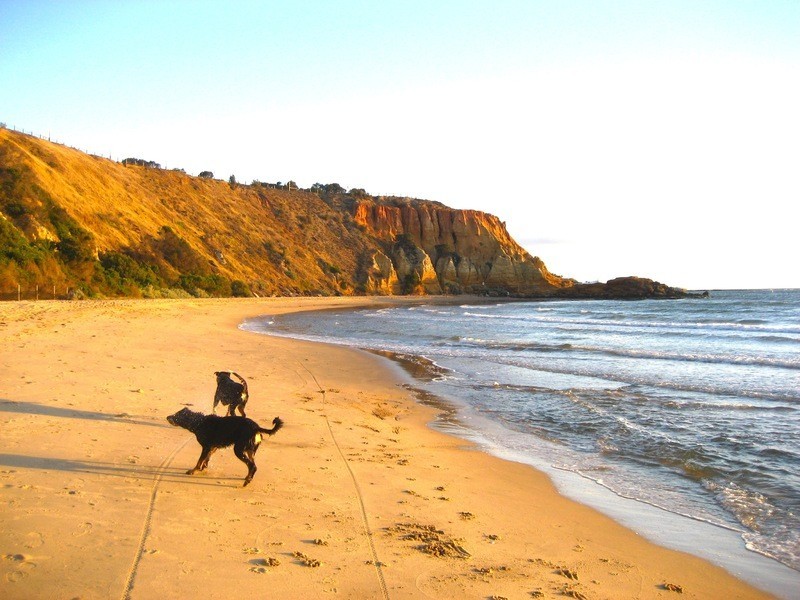 122 Beach Road, Sandringham VIC 3191