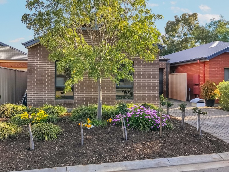 41 Colville Drive, Willaston SA 5118