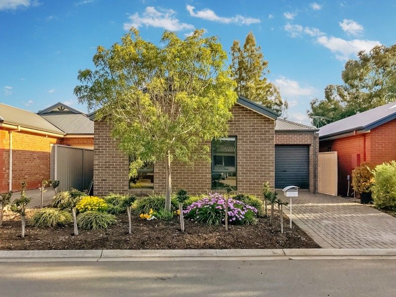 41 Colville Drive, Willaston SA 5118