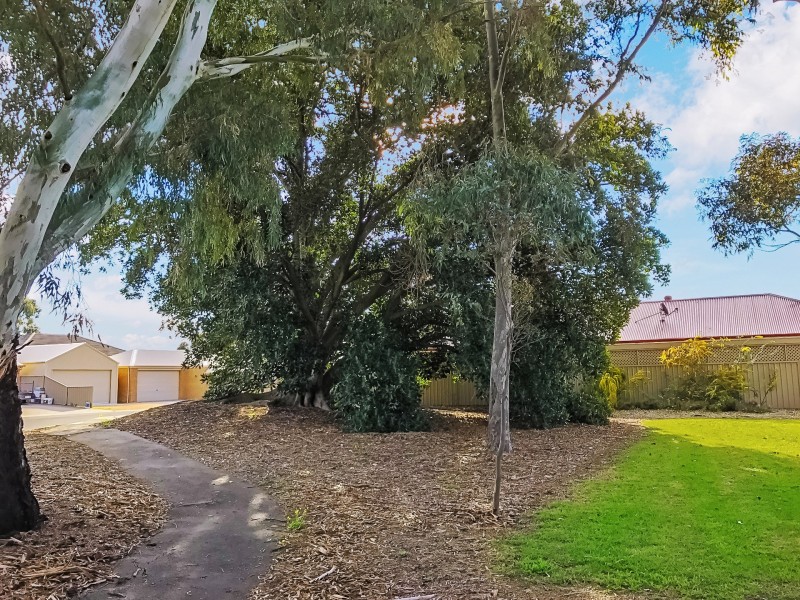41 Colville Drive, Willaston SA 5118