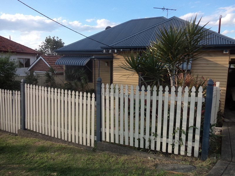 113 Lorna Street, Waratah West NSW 2298