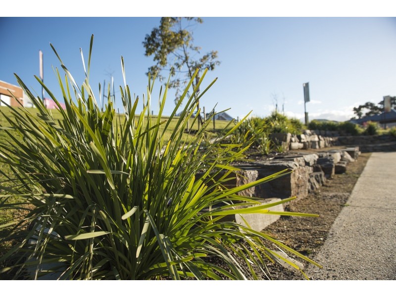 22 Park Terrace, Mount Barker SA 5251