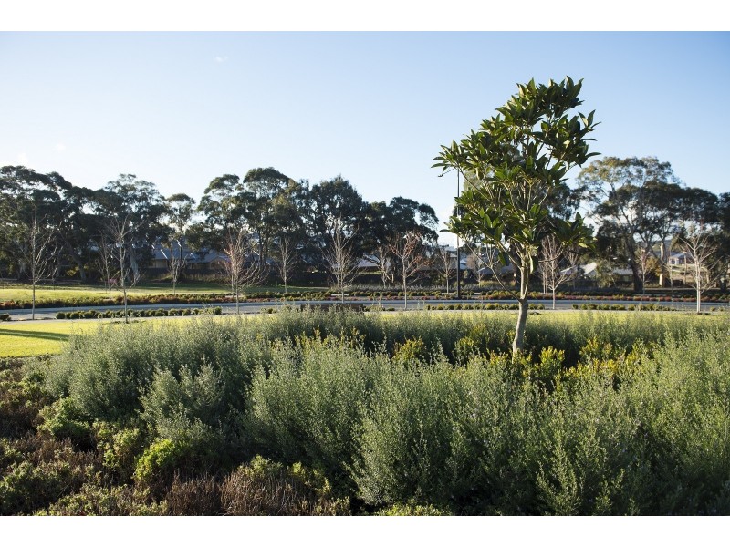 22 Park Terrace, Mount Barker SA 5251