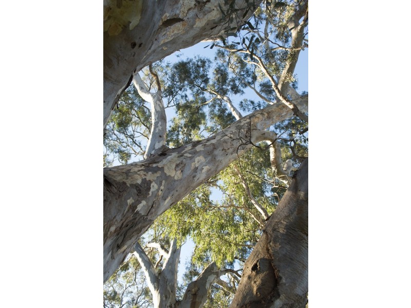 22 Park Terrace, Mount Barker SA 5251