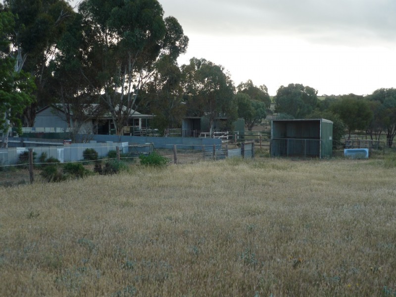 69 Dollard Avenue, Mannum SA 5238