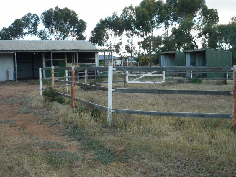 69 Dollard Avenue, Mannum SA 5238