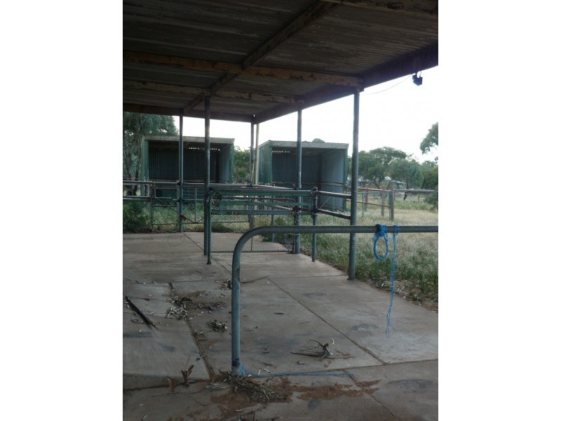 69 Dollard Avenue, Mannum SA 5238