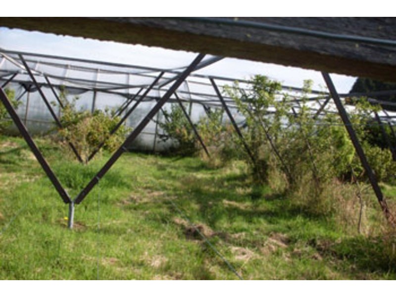 1 Little Quiggins St, Waratah TAS 7321