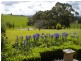 1105 Jacksons Track, Jindivick VIC 3818