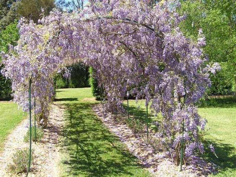 1105 Jacksons Track, Jindivick VIC 3818