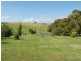 1105 Jacksons Track, Jindivick VIC 3818