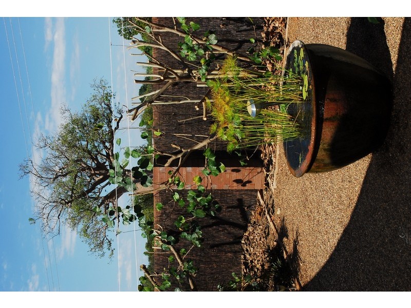 2/6 Frangipani Court, Kununurra WA 6743