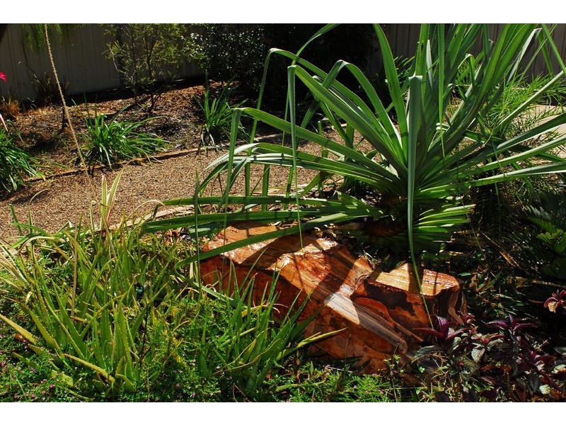 2/6 Frangipani Court, Kununurra WA 6743