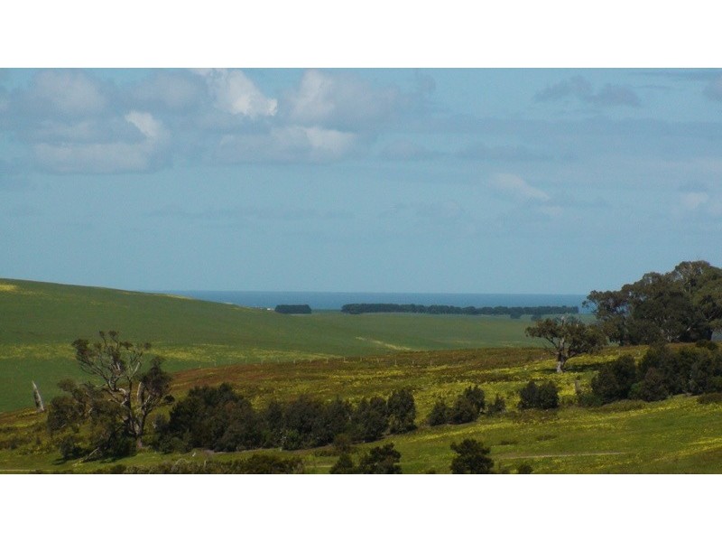 225 Gwenmarlin Road, Flinders VIC 3929