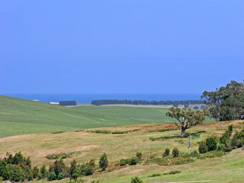 225 Gwenmarlin Road, Flinders VIC 3929