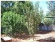 61 Donaldson Street, Curlewis NSW 2381
