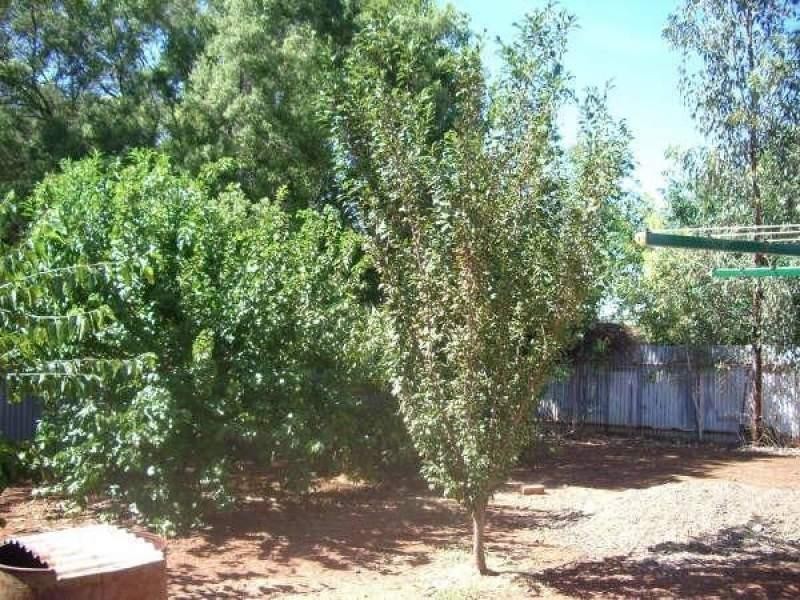 61 Donaldson Street, Curlewis NSW 2381